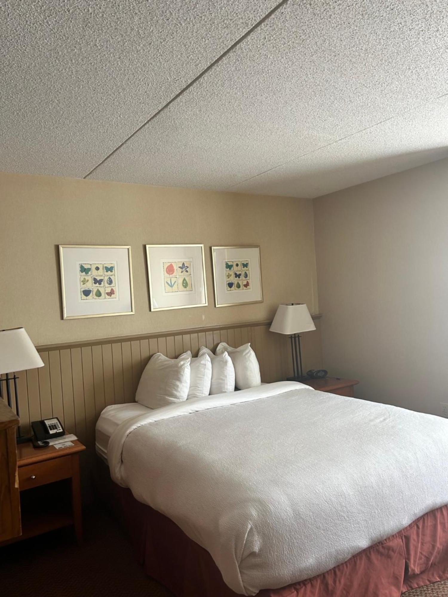 Charlottetown Inn & Conference Centre 외부 사진